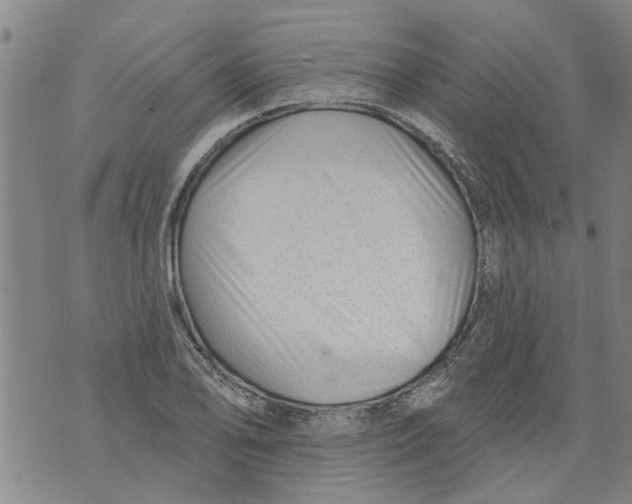 X0000073891078200609082117