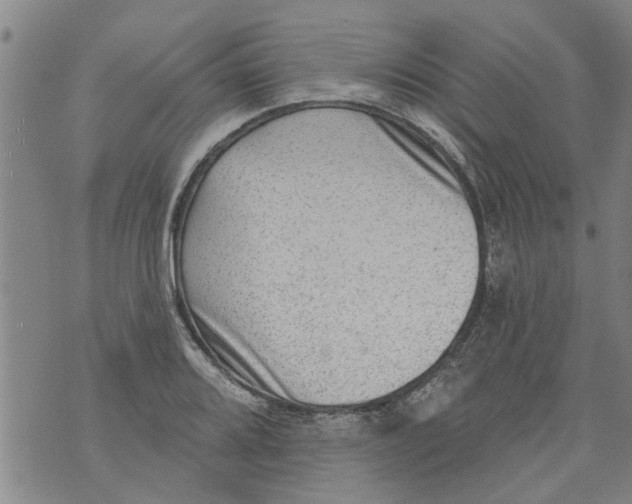 X0000073891080200609082117