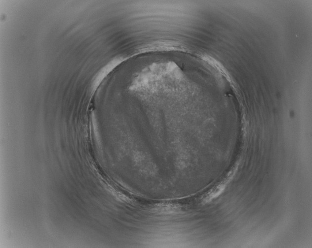 X0000073891081200609082117