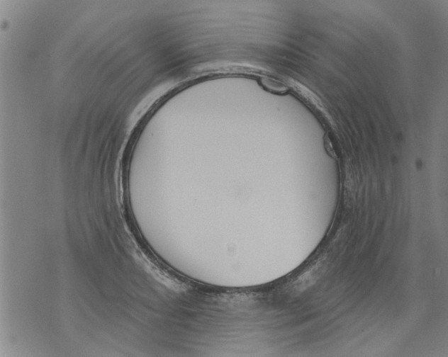 X0000073891082200609082117