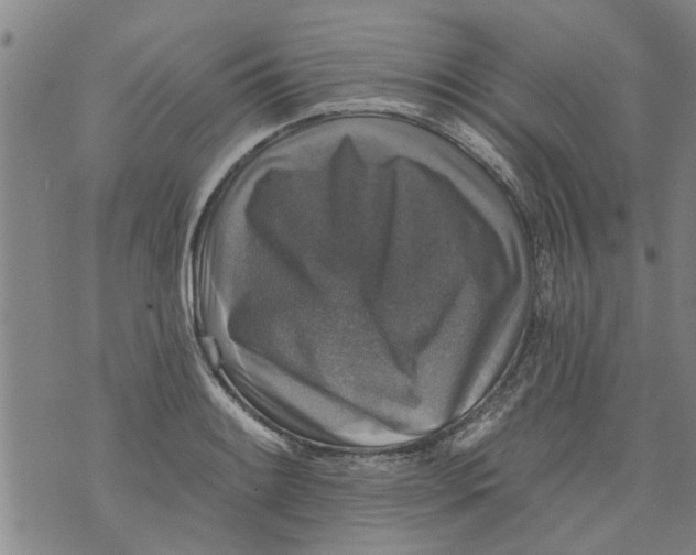 X0000073891084200609082117