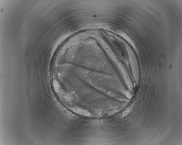 X0000073891088200609082117