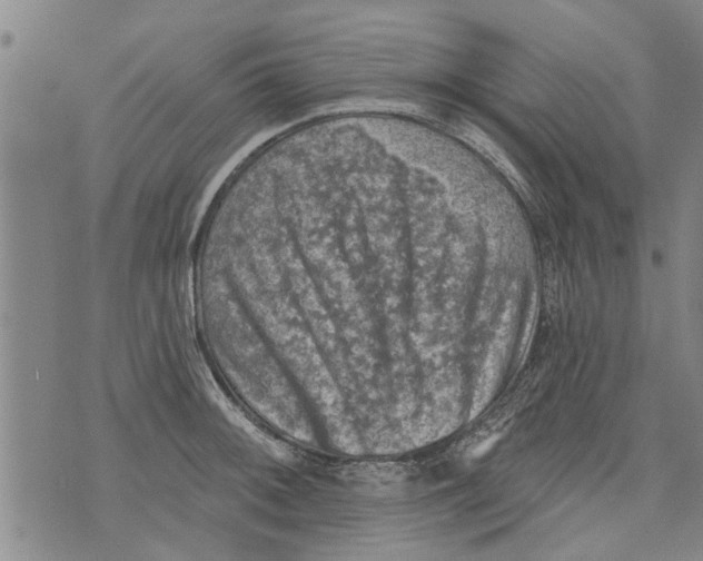 X0000073891092200609082117