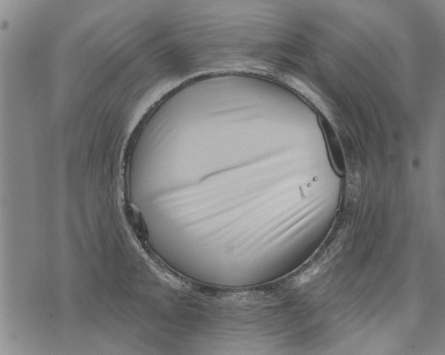 X0000073891093200609082117