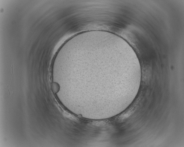 X0000073891094200609082117