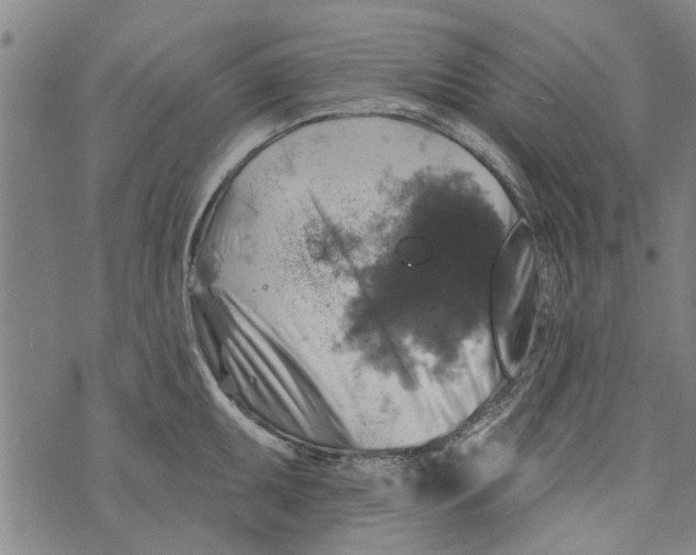 X0000073891095200609082117