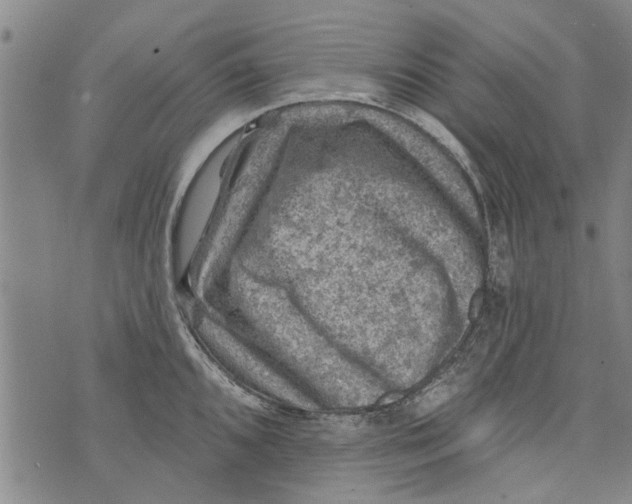 X0000073891096200609082116