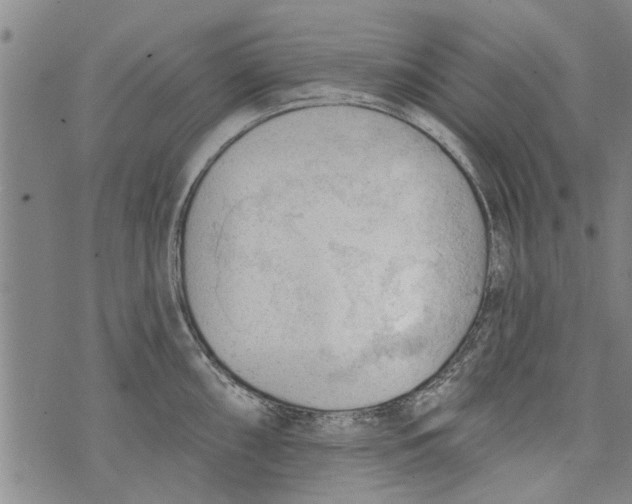 X0000073891098200609082116