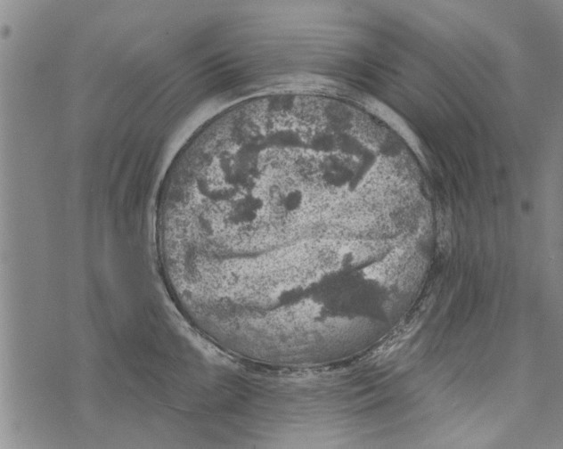 X0000073891099200609082116