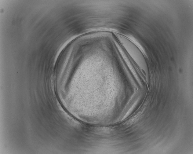 X0000073891100200609082116