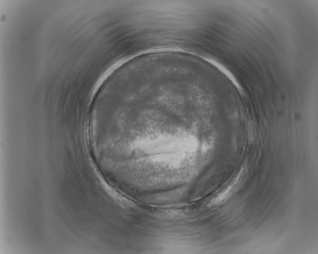 X0000073891101200609082116