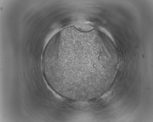 X0000073891103200609082116