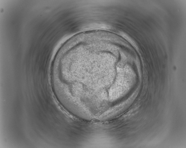 X0000073891104200609082116