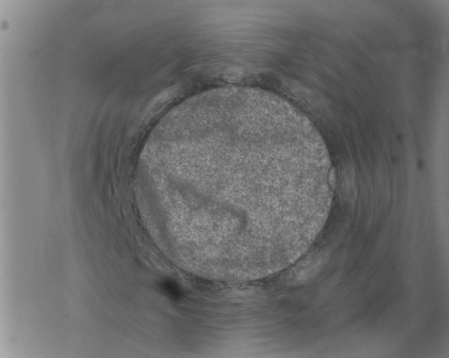 X0000073891105200609082116