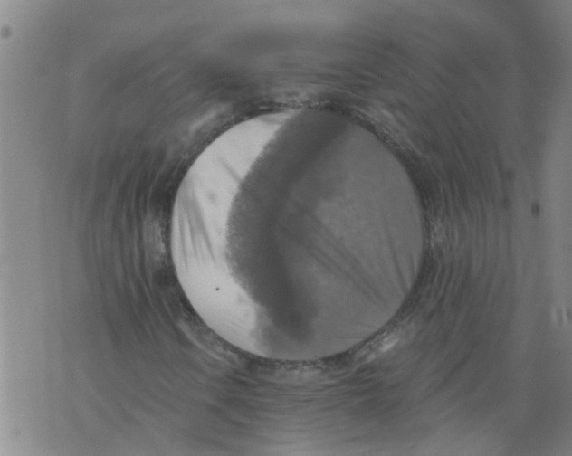 X0000073891106200609082116