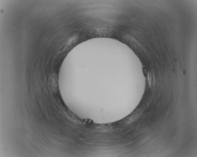 X0000073891107200609082116