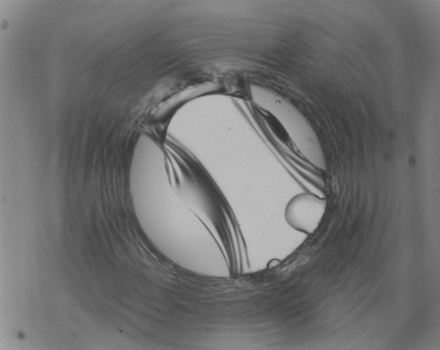 X0000073891108200609082116