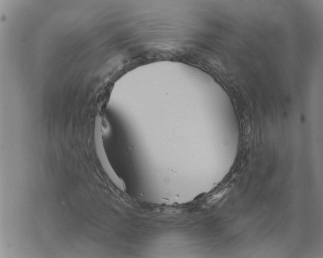 X0000073891109200609082116