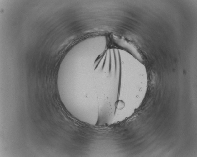 X0000073891110200609082116