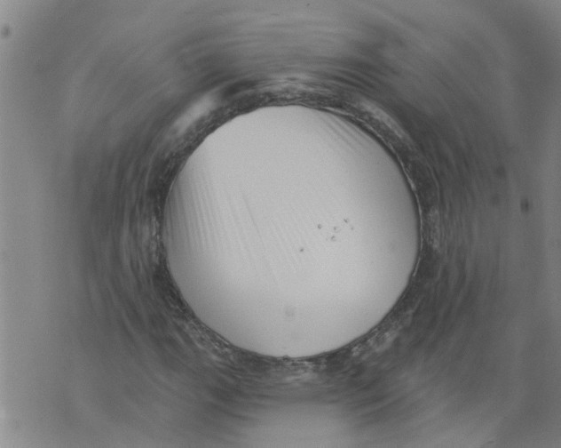 X0000073891111200609082116