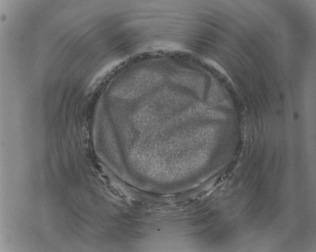 X0000073891112200609082116