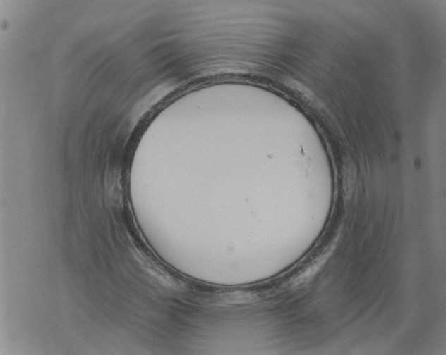 X0000073891113200609082116