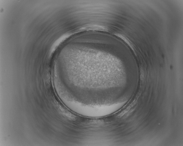 X0000073891115200609082116