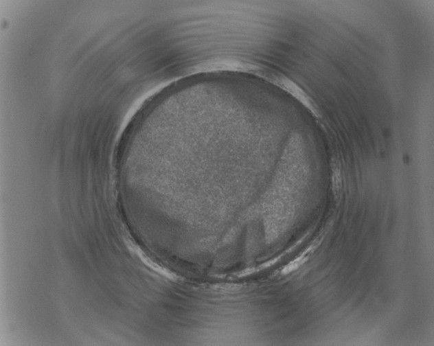 X0000073891116200609082116