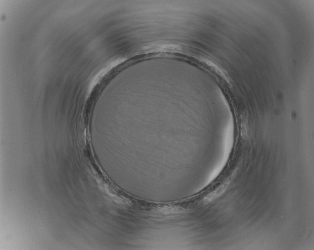 X0000073891117200609082116