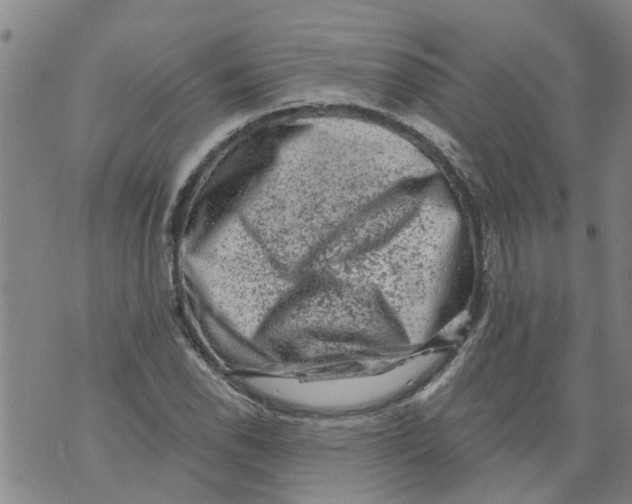 X0000073891118200609082116