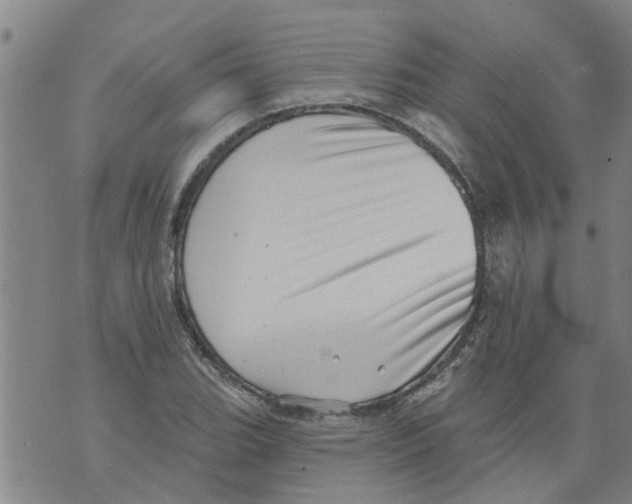 X0000073891119200609082116