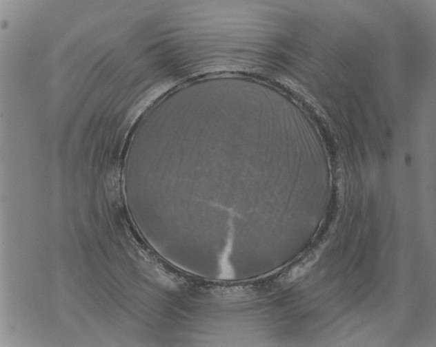 X0000073891121200609082116