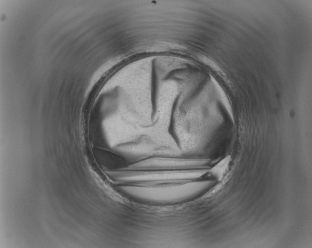 X0000073891122200609082116