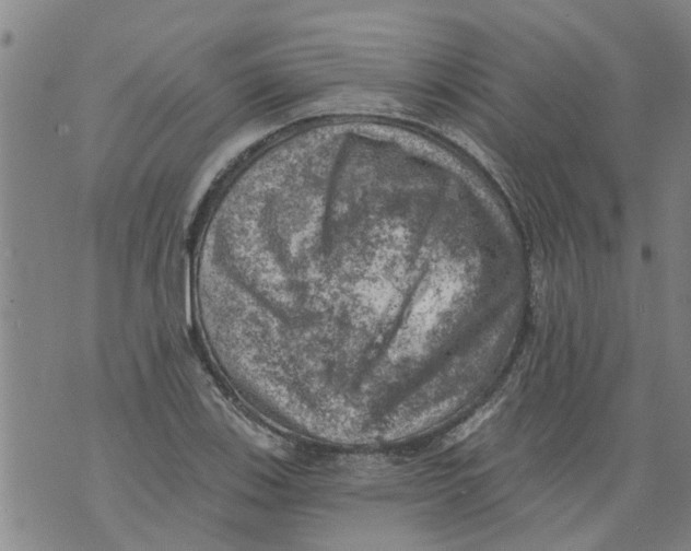 X0000073891123200609082116