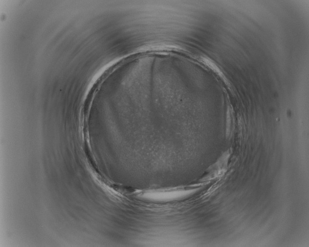 X0000073891124200609082116