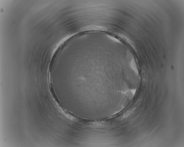 X0000073891125200609082116