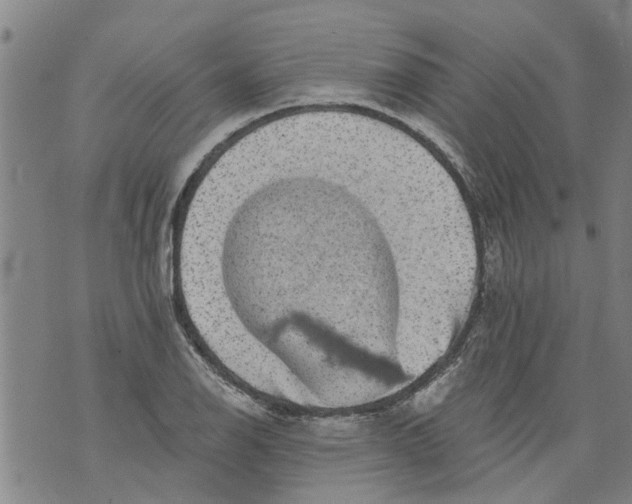 X0000073891126200609082116