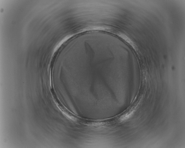 X0000073891127200609082116