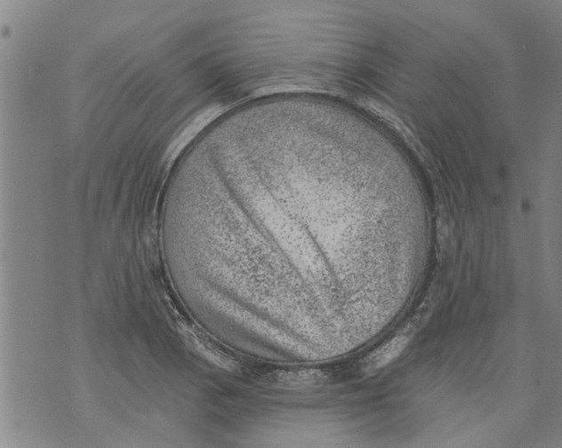 X0000073891129200609082116