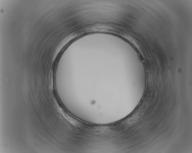 X0000073891131200609082116