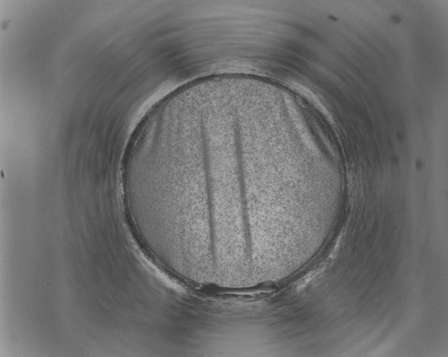 X0000073891133200609082116