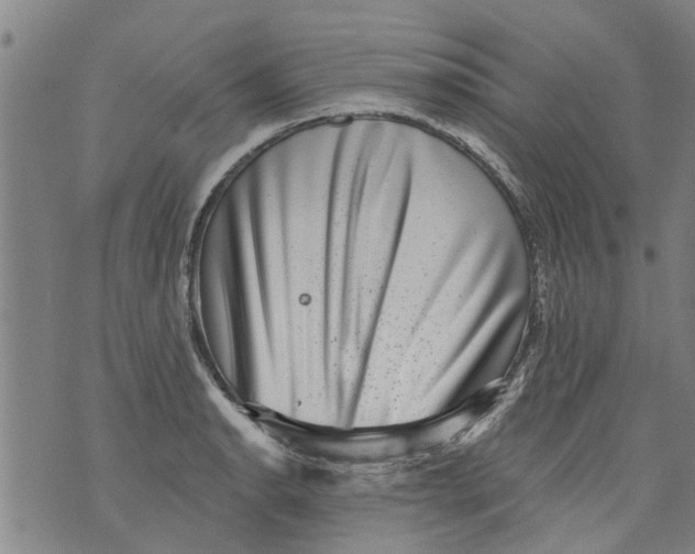 X0000073891134200609082116