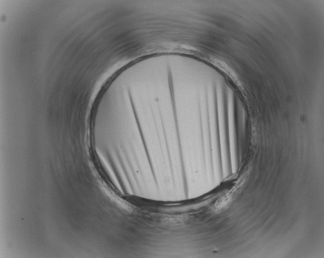 X0000073891136200609082116