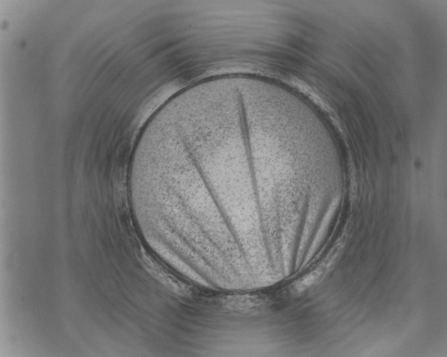 X0000073891137200609082116