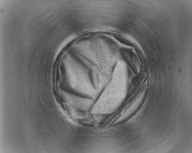 X0000073891138200609082116