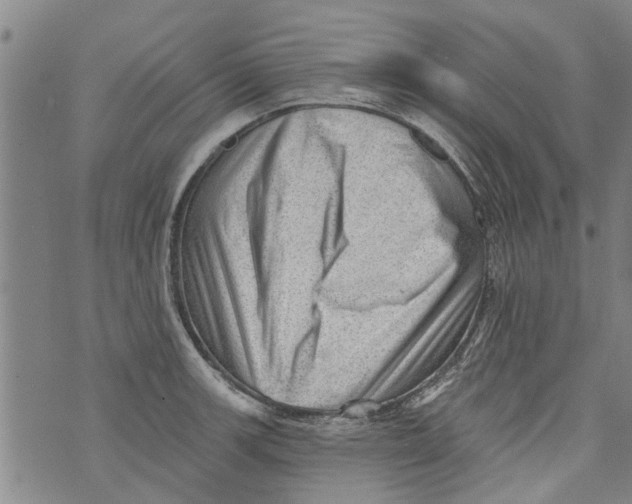 X0000073891139200609082116