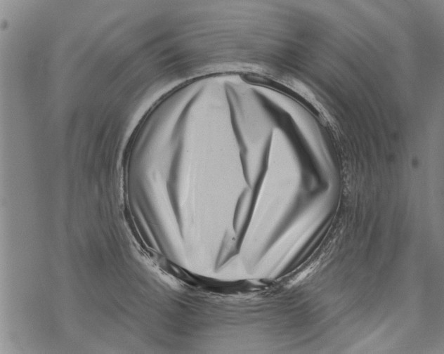 X0000073891140200609082116