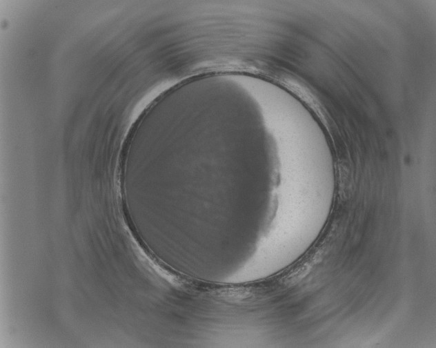 X0000073891141200609082116