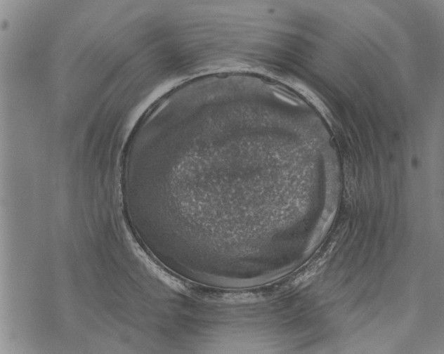 X0000073891142200609082116