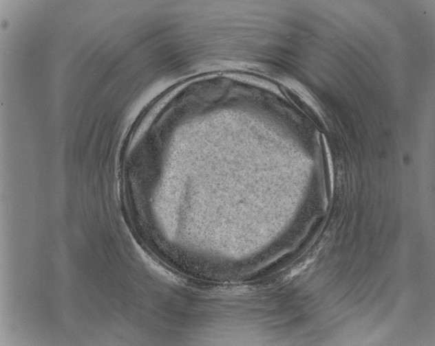 X0000073891143200609082116